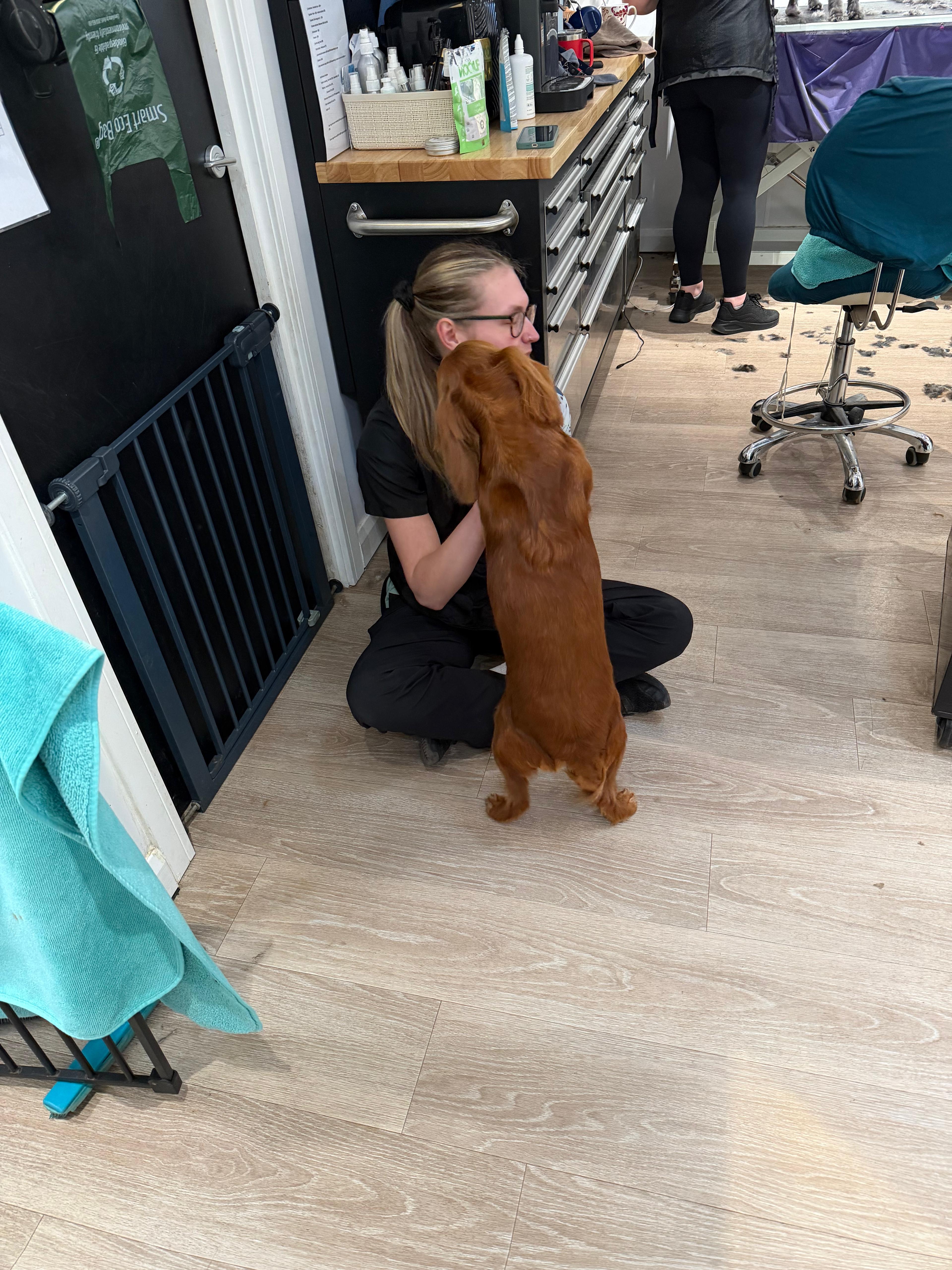 A groomer sitting on the salon floor, letting a dog settle and come to her