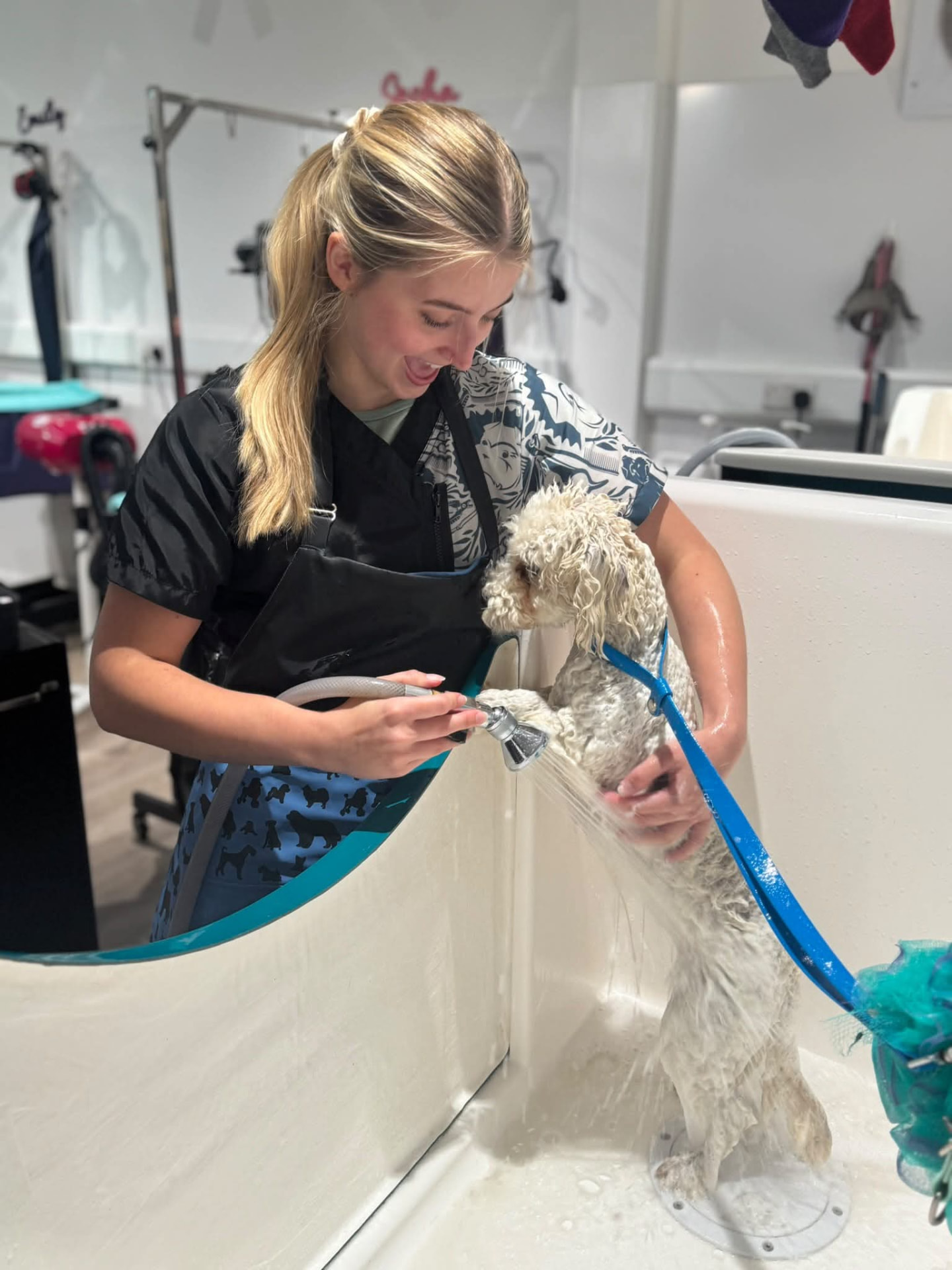 Portrait of Grace bathing a small dog in the salon