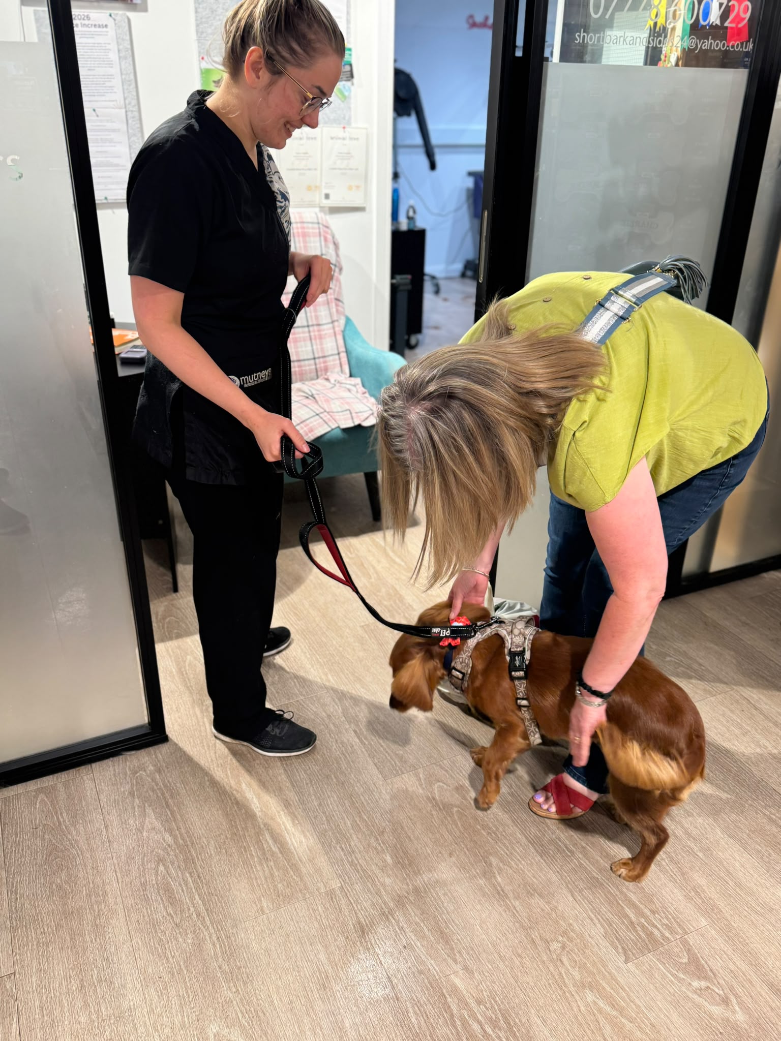 A groomer taking the lead from an owner as she settles her spaniel at drop-off