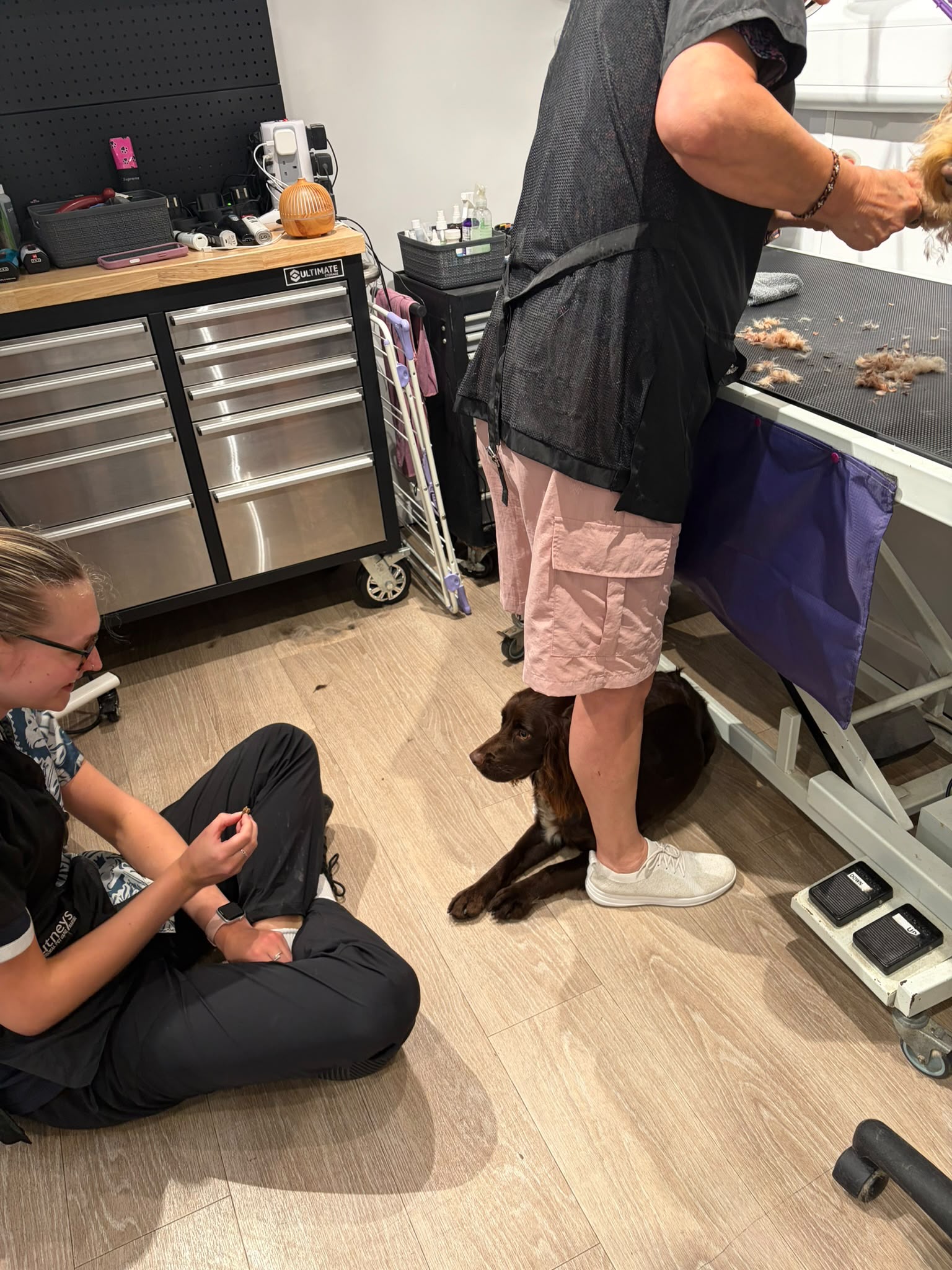 A groomer sitting on the salon floor with a dog, working at the dog's level