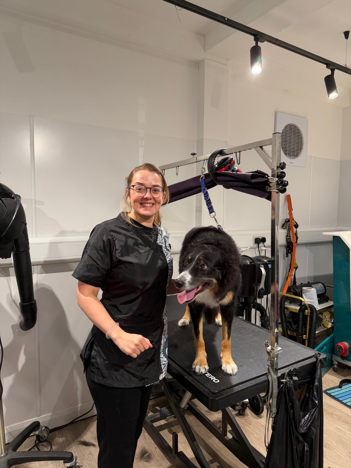 A groomer standing beside a happy tricolour collie on the grooming table