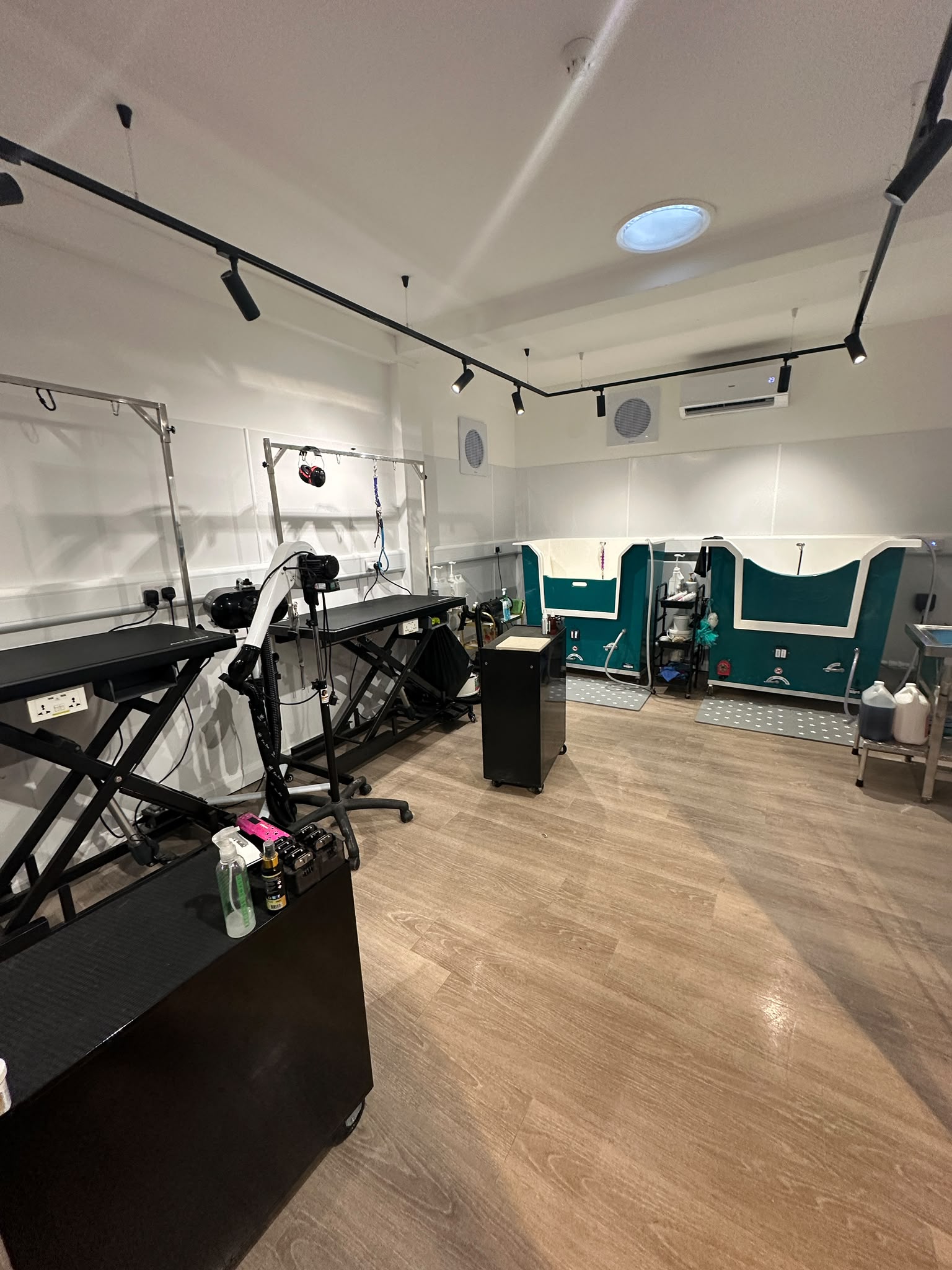 The bright, spacious grooming salon with tables and bathing area